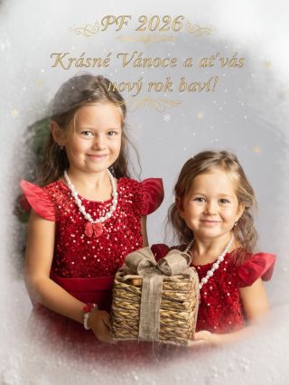 Krásné Vánoce!🎄🙏 #vanoce2026 #vánoce #pf #krasnesvatky #baavi